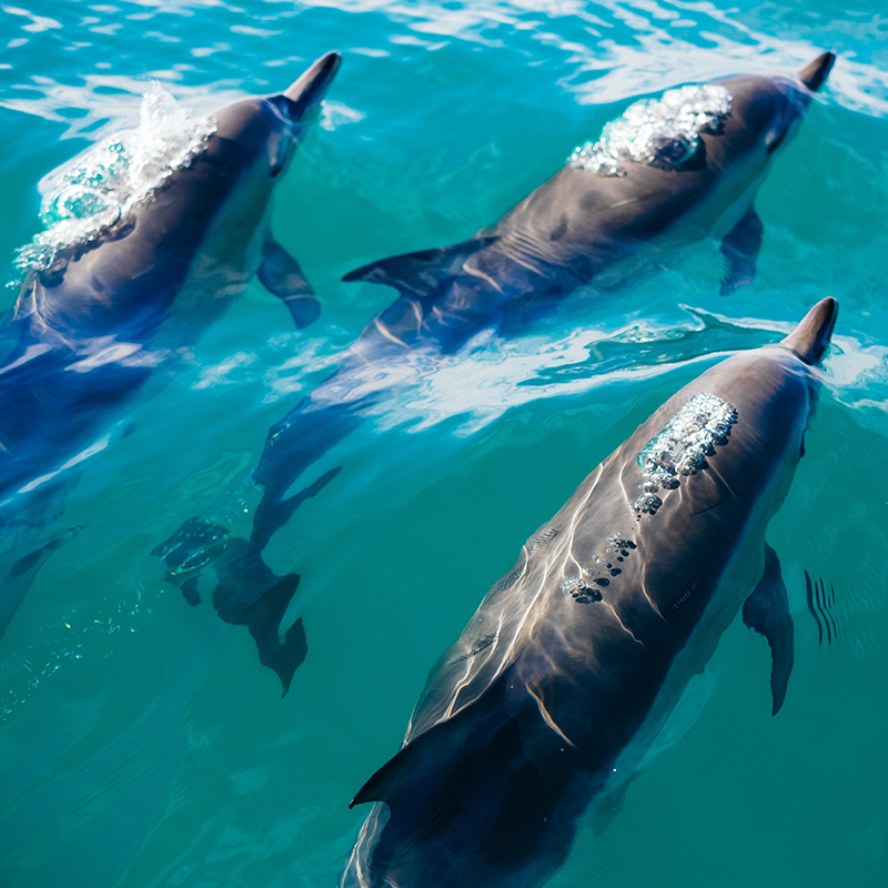 Retraite développement personnel